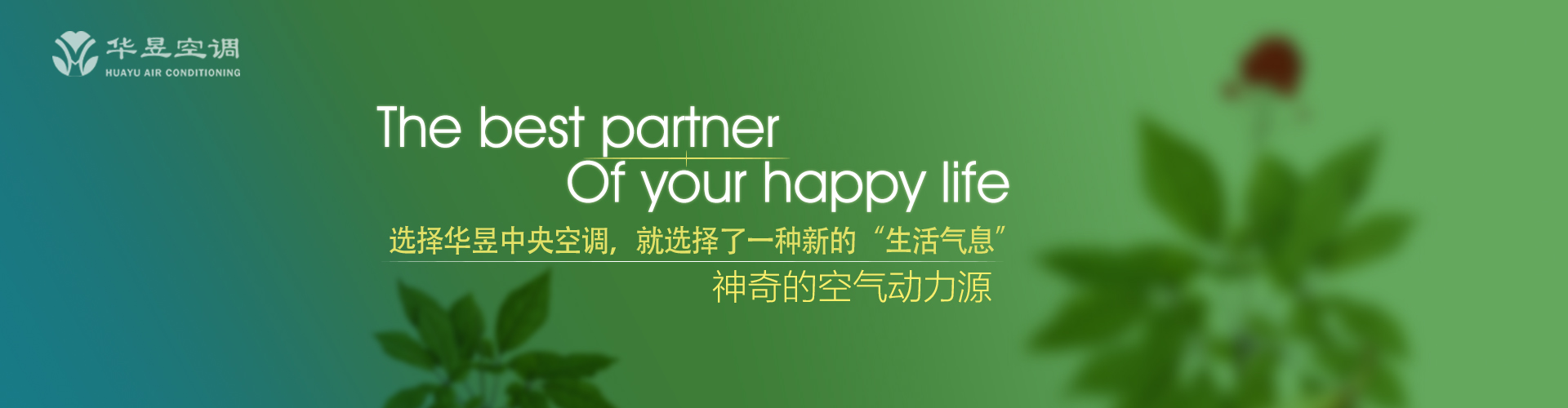 望尘而拜网